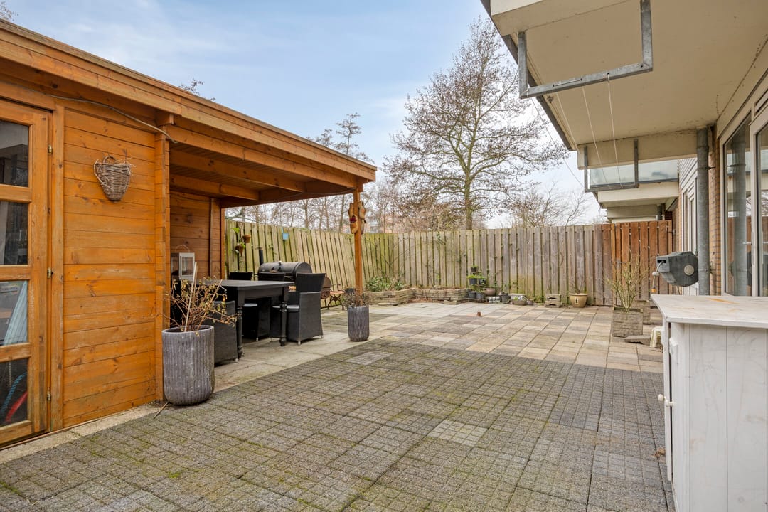 Photo 26 of Stereoplein 11