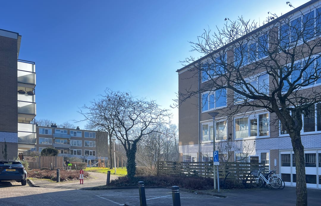 Photo 31 of Stereoplein 11