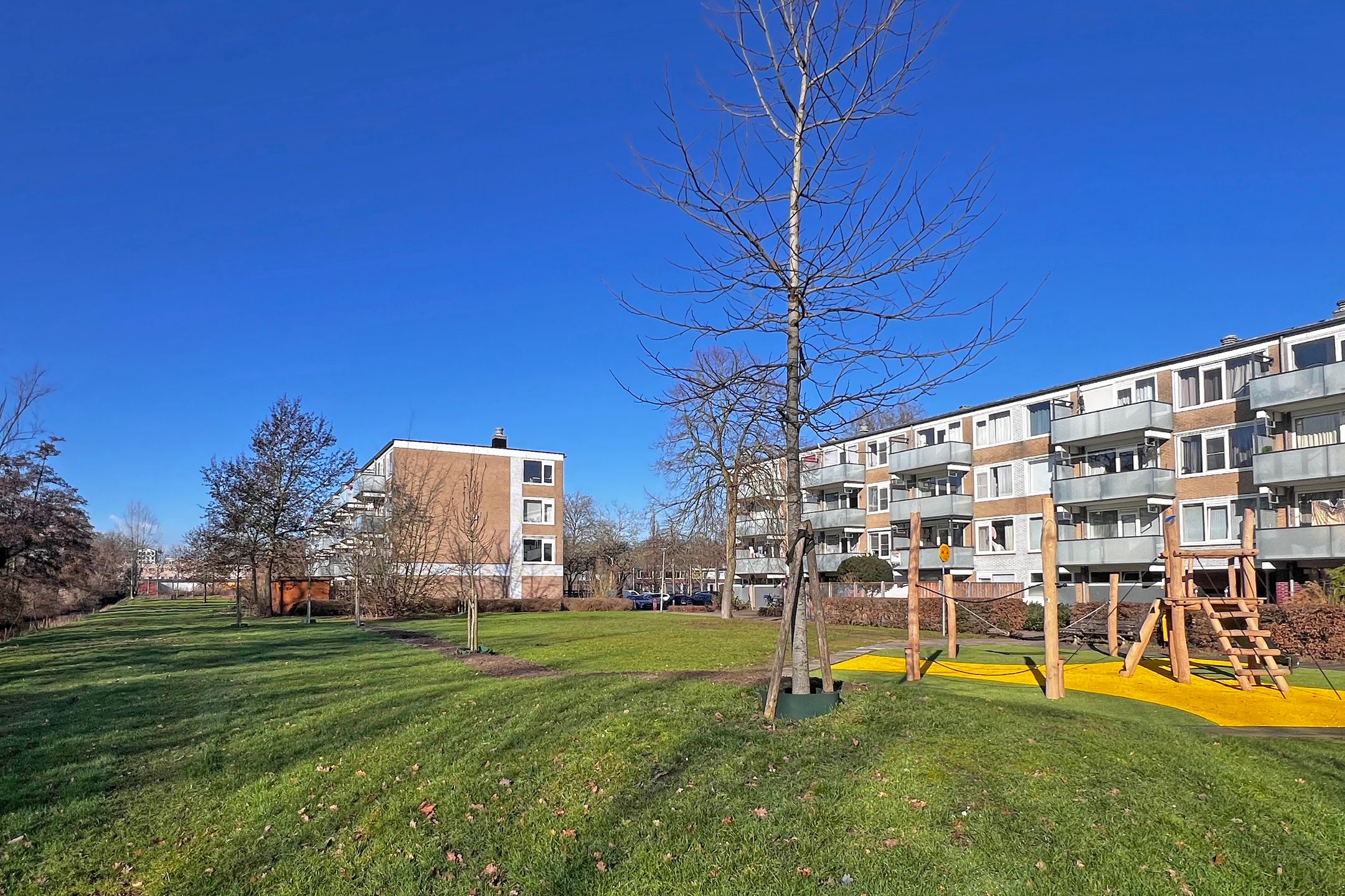 Photo 33 of Stereoplein 11