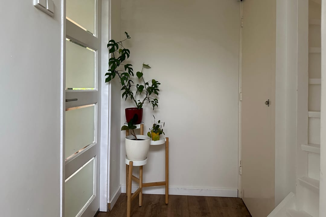 Foto 16 van Maniladreef 14