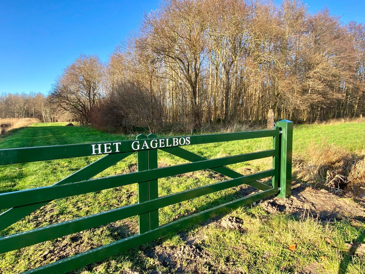 Foto 34 van Maniladreef 14