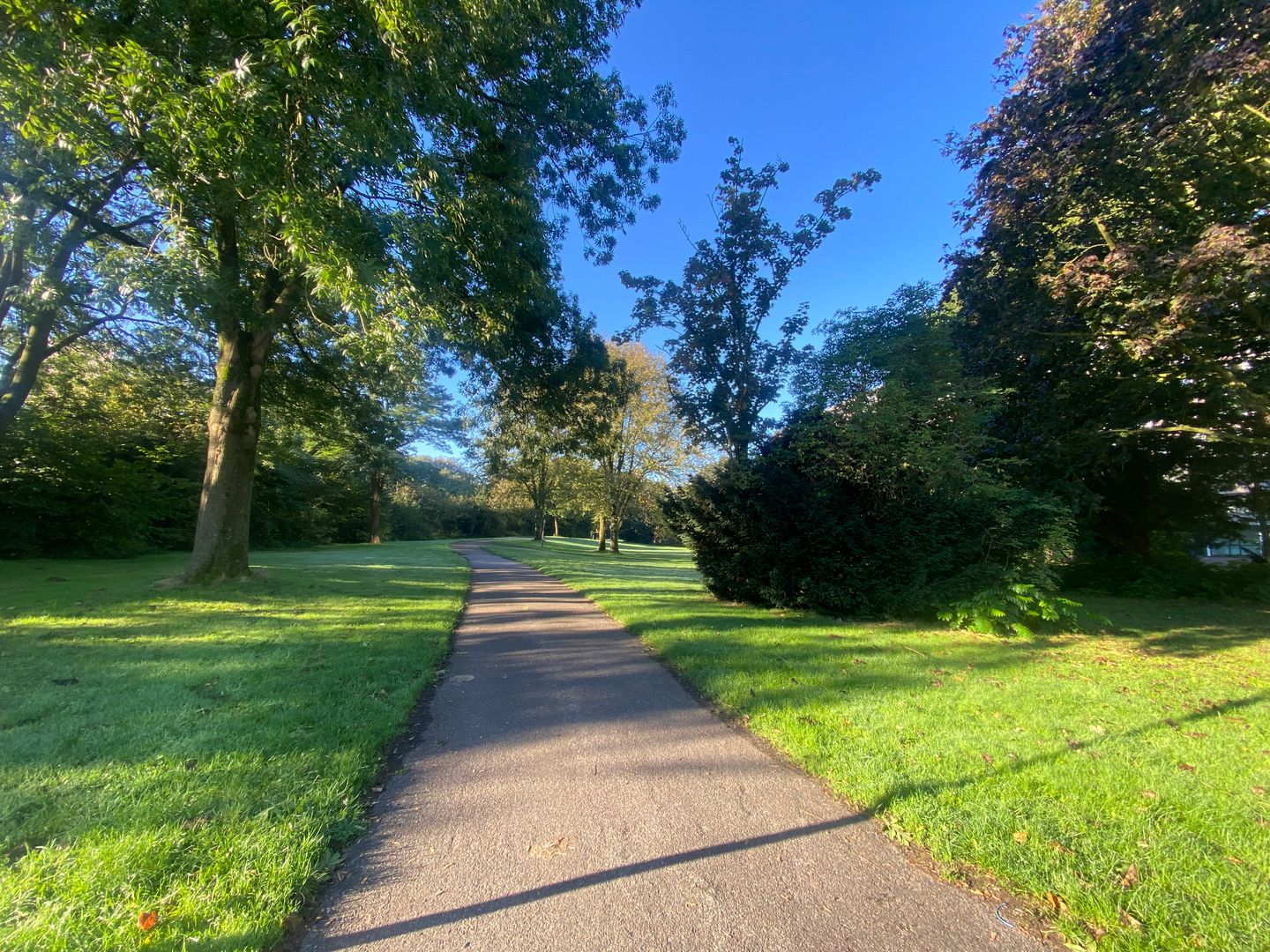 Foto 35 van Maniladreef 14