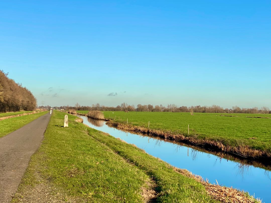 Foto 37 van Maniladreef 14