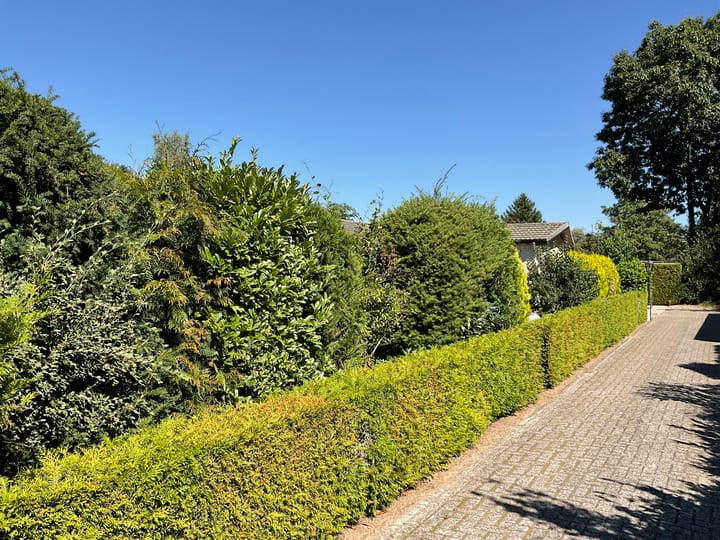 Foto 21 van Oude Prinsenweg 16-91