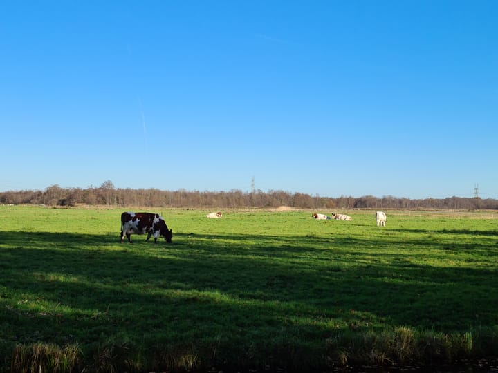 Photo 2 of Stichtse Kade