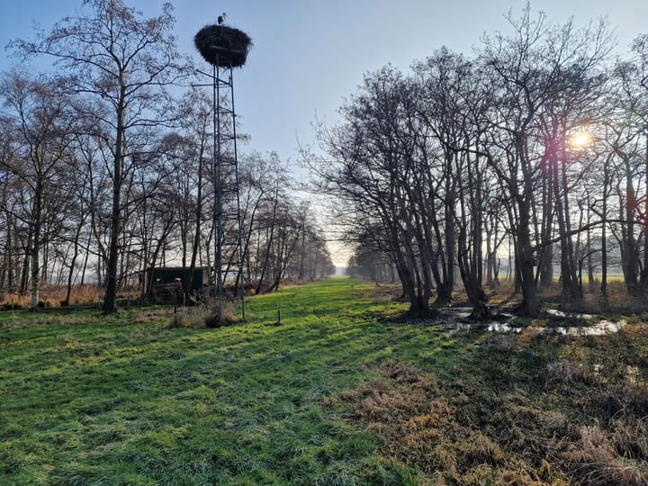 Photo 4 of Stichtse Kade