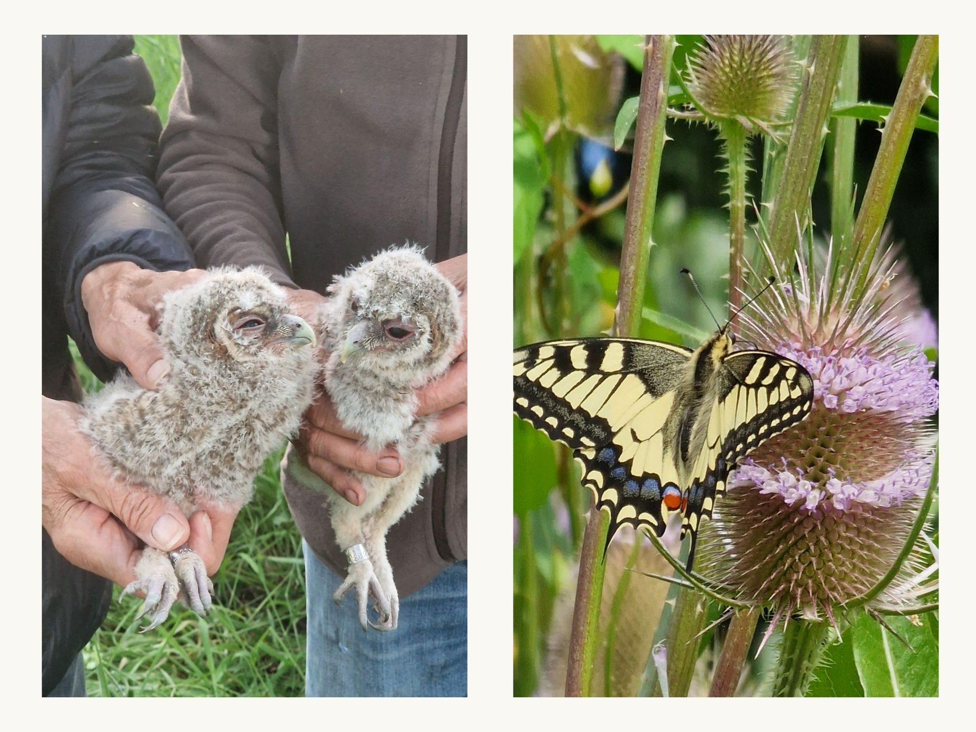 Foto 6 van Stichtse Kade