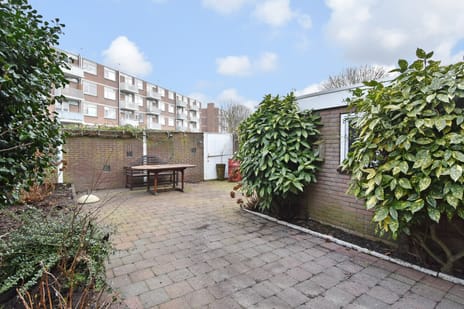 undefined main image