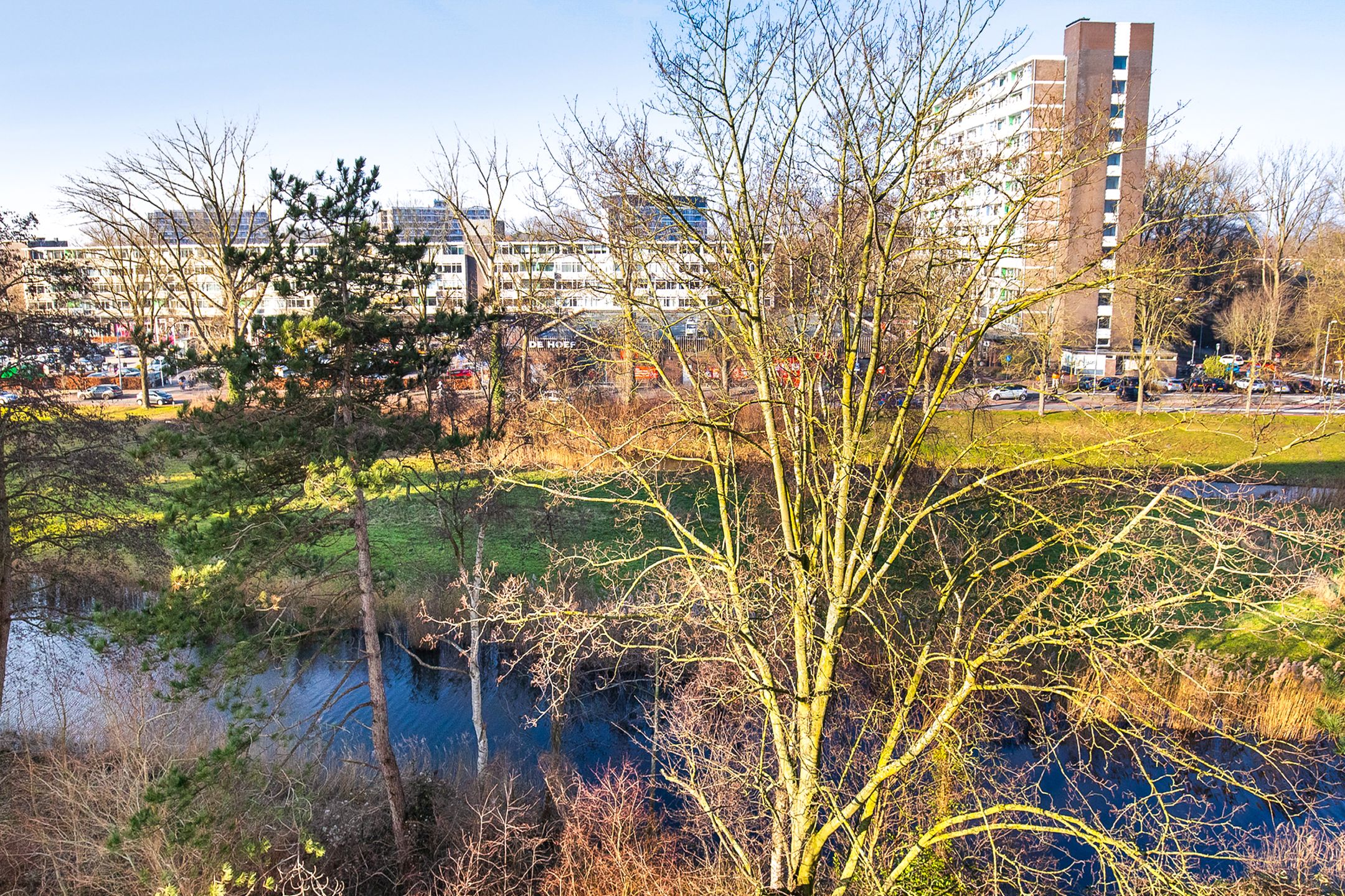 Foto 21 van Honthorstlaan 80