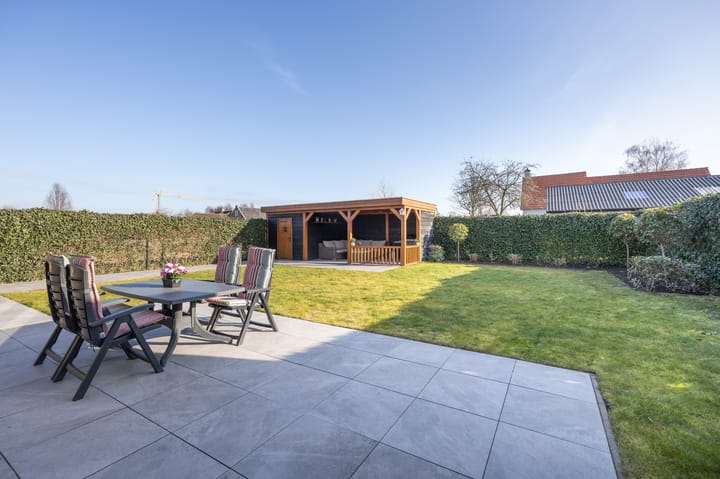 Photo 3 of Spitter 38