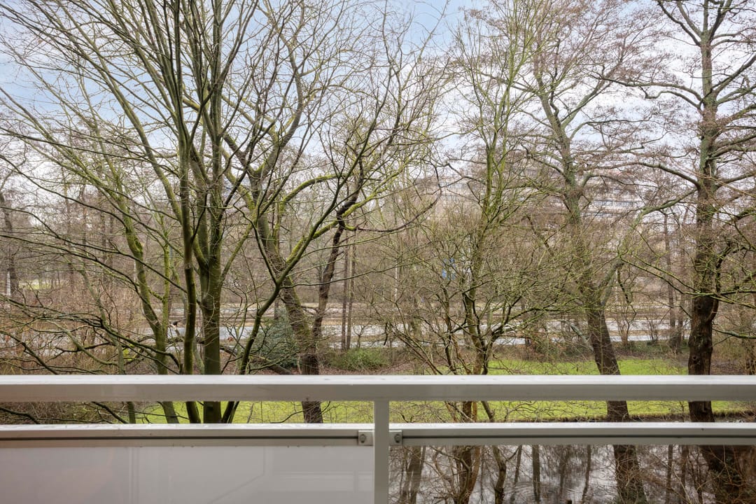 Foto 11 van Hoeksewaard 51