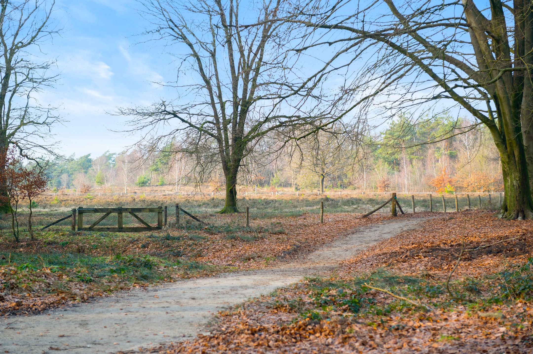 Foto 75 van De Oude Klarenbeek 5