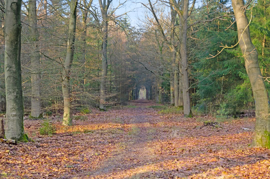 Foto 77 van De Oude Klarenbeek 5