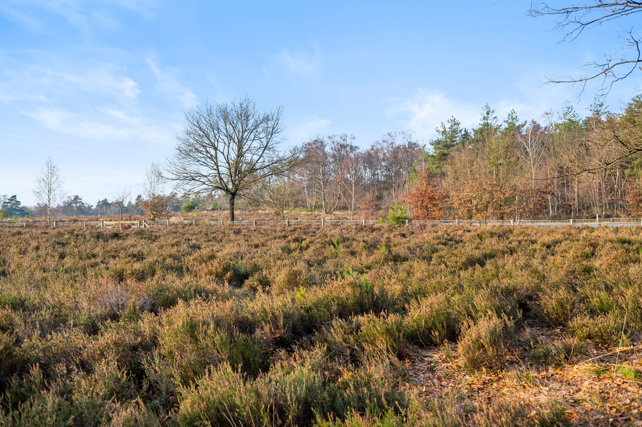 Foto 78 van De Oude Klarenbeek 5