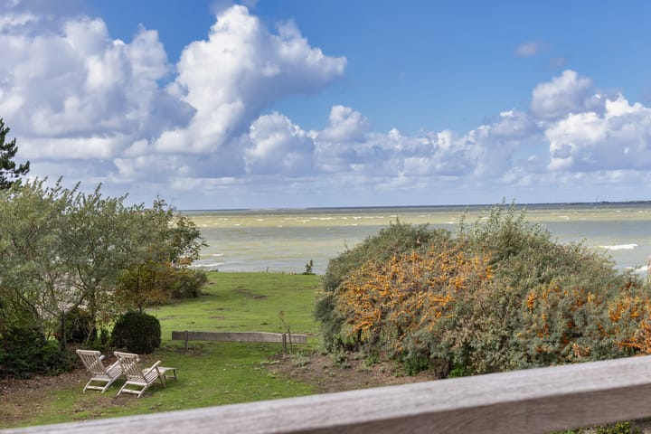 Foto 6 van Javaruggen 20