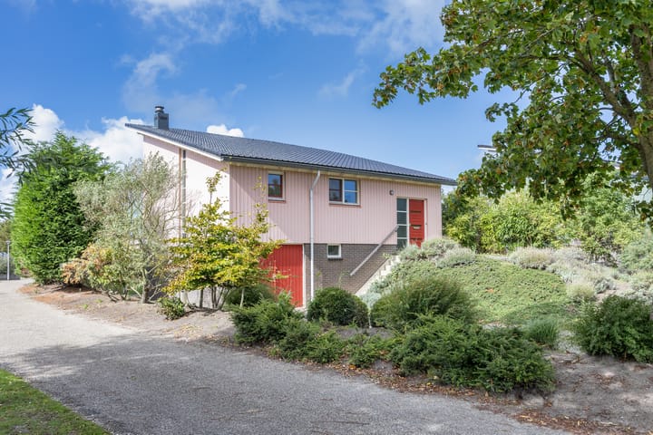 Foto 42 van Javaruggen 20