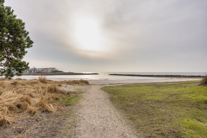 Foto 50 van Javaruggen 20