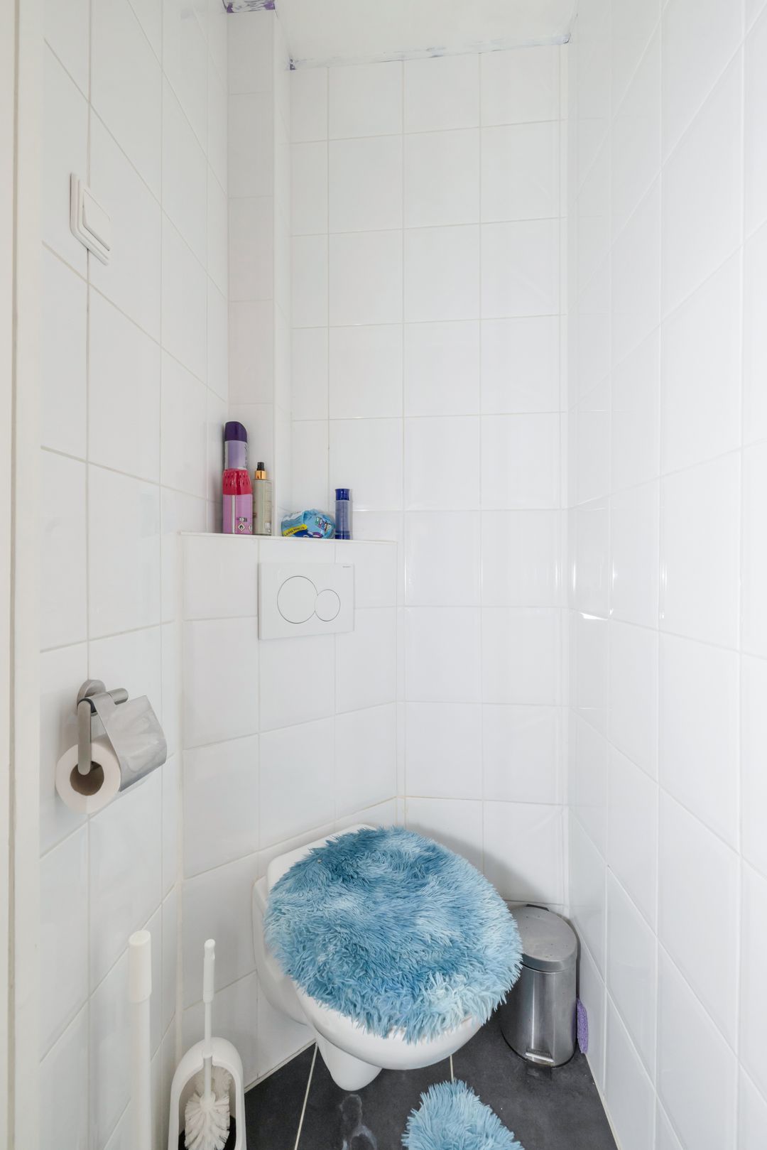 Photo 7 of Lijsterbesstraat 53