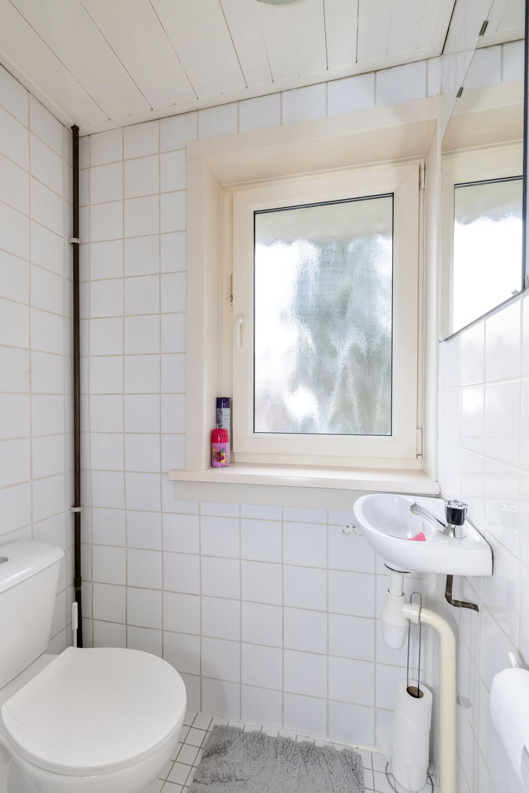 Photo 8 of Lijsterbesstraat 53