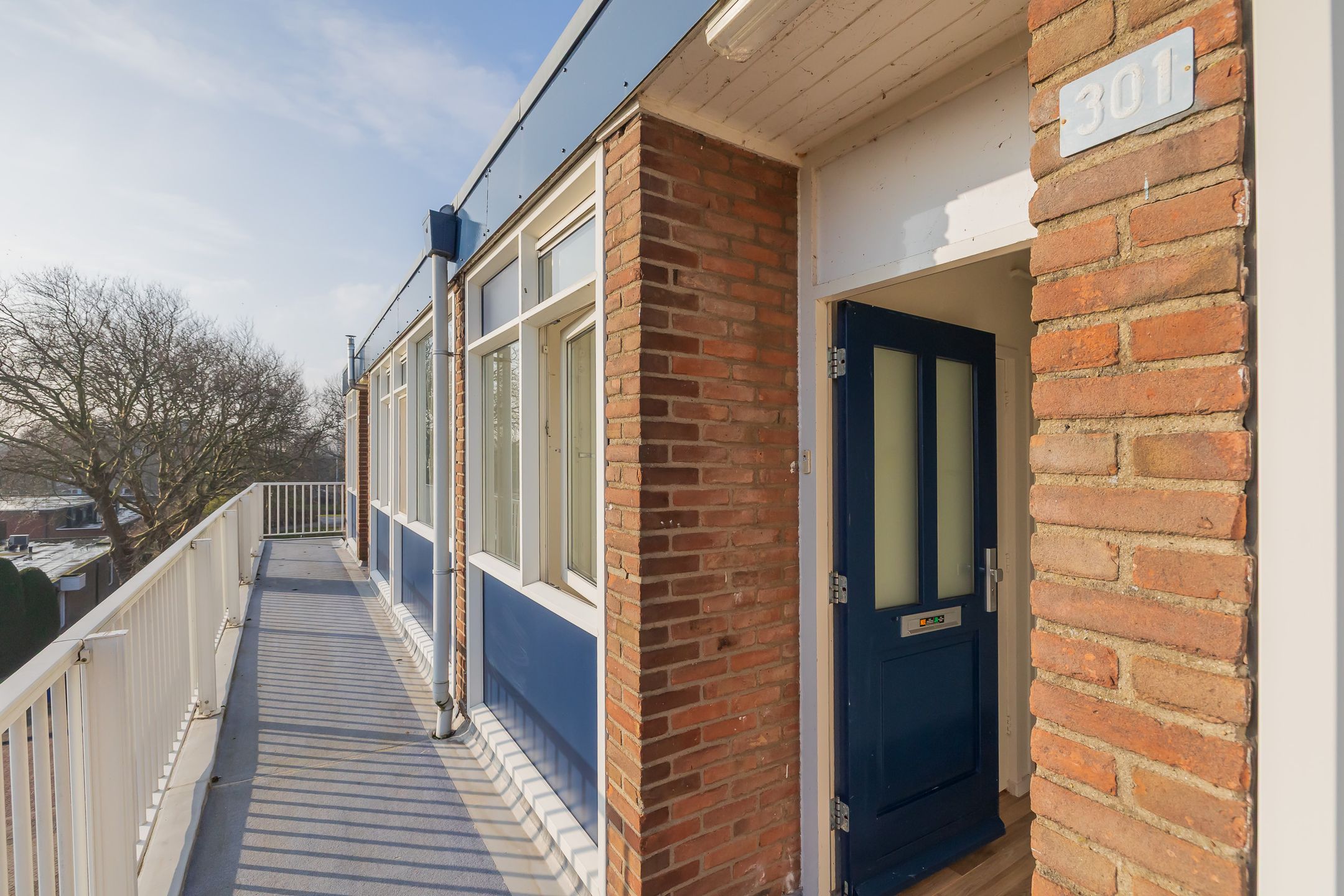 Foto 6 van Faleriolaan 301