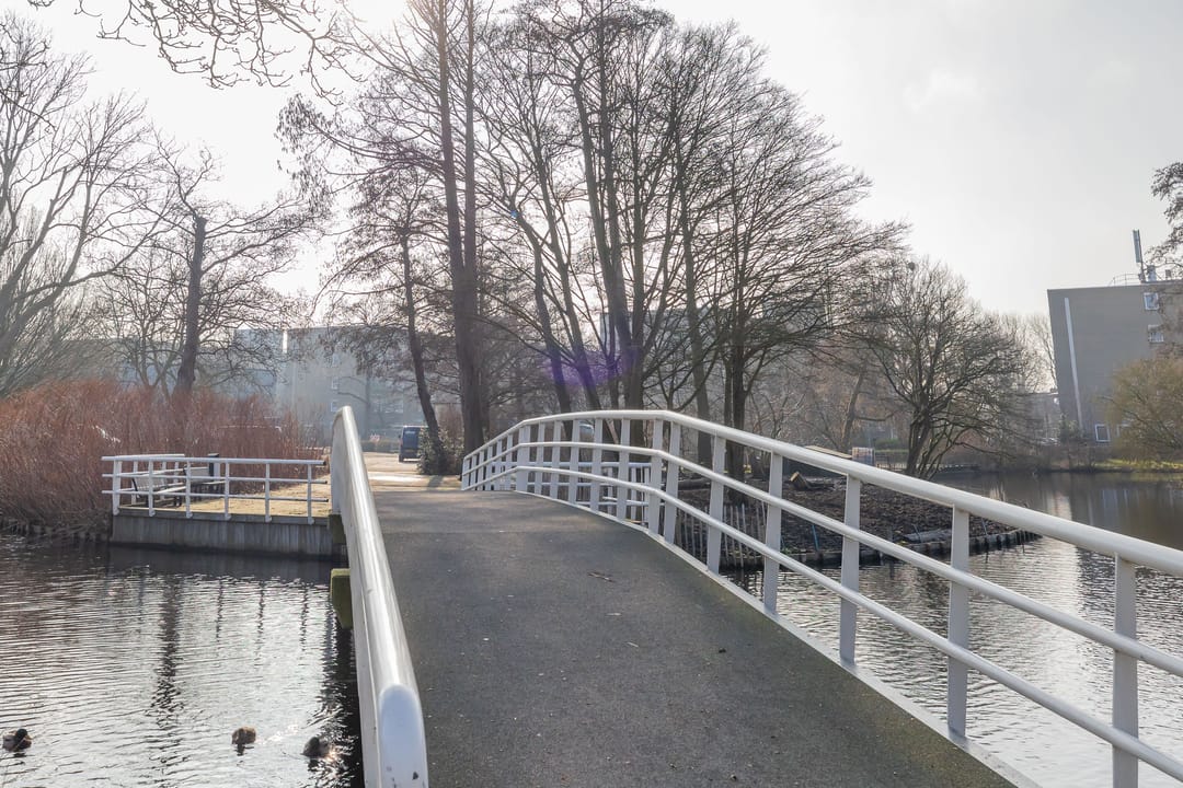 Foto 38 van Faleriolaan 301