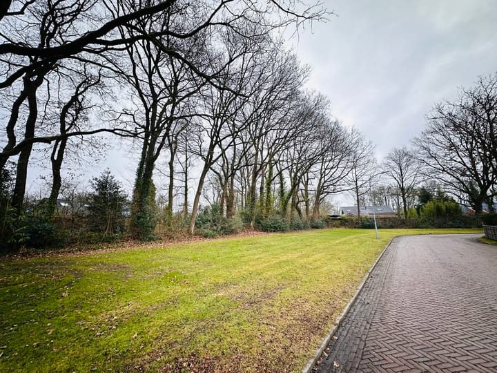 Foto 4 van Taxusplantsoen 10