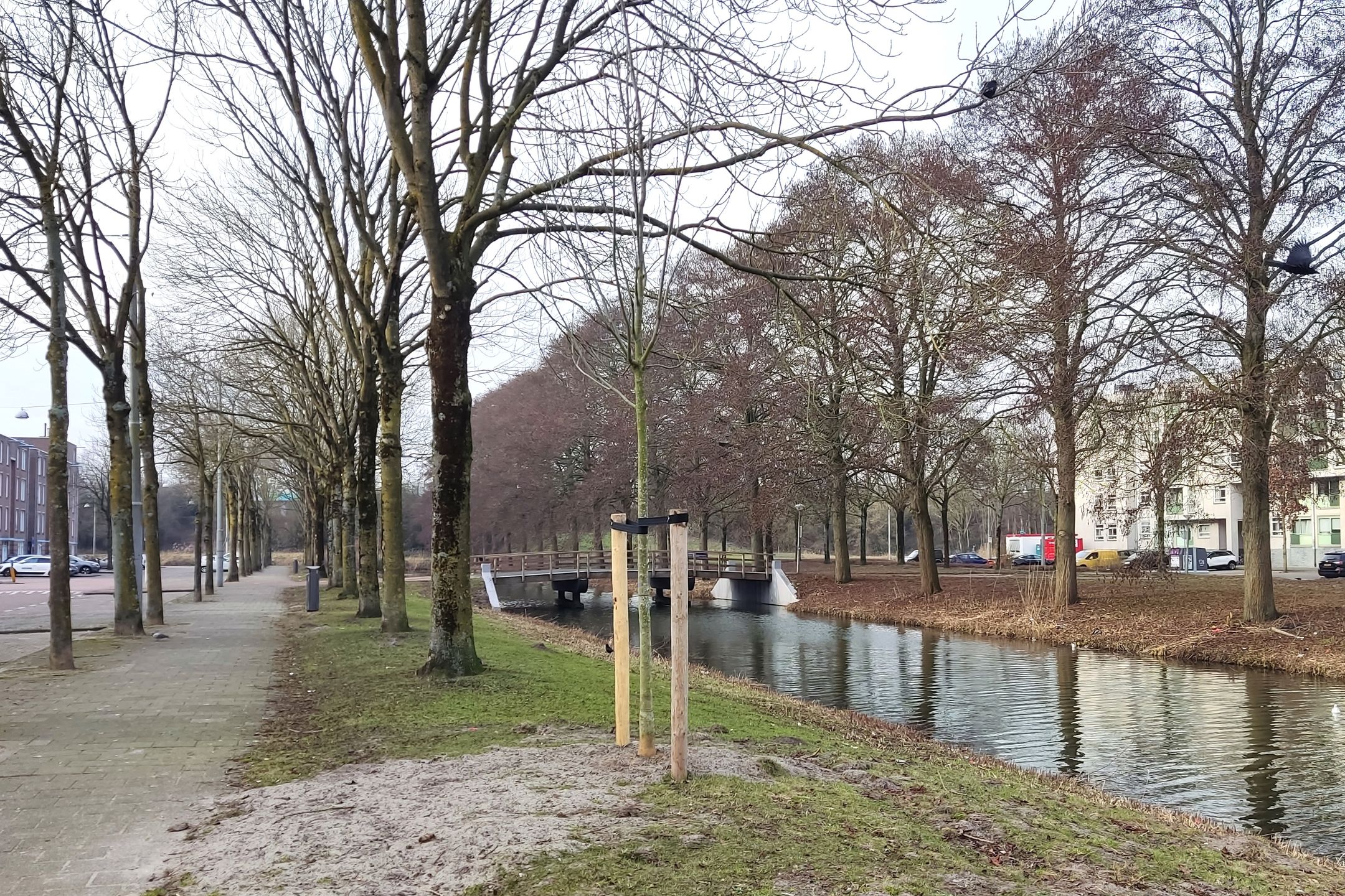 Foto 21 van Barbusselaan 111