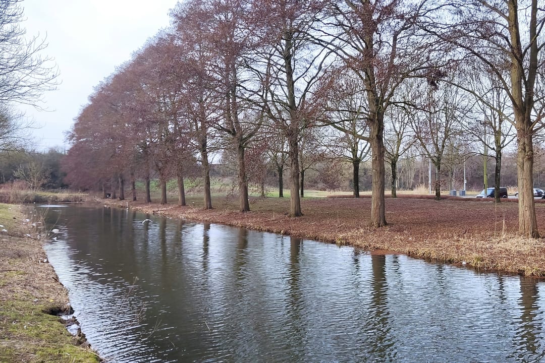 Foto 22 van Barbusselaan 111