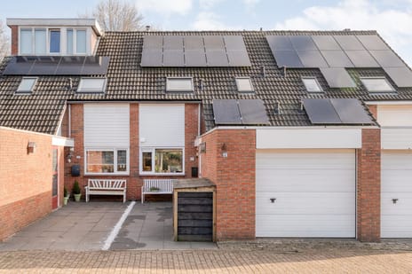 undefined main image