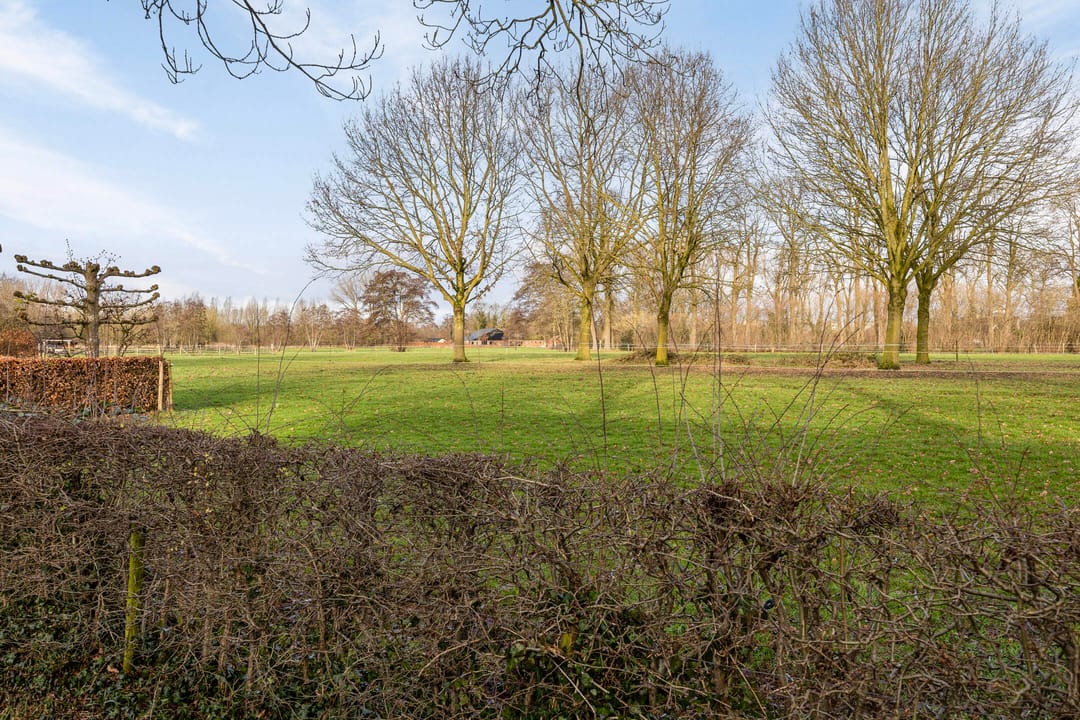 Foto 53 van Van Dedemlaan 19