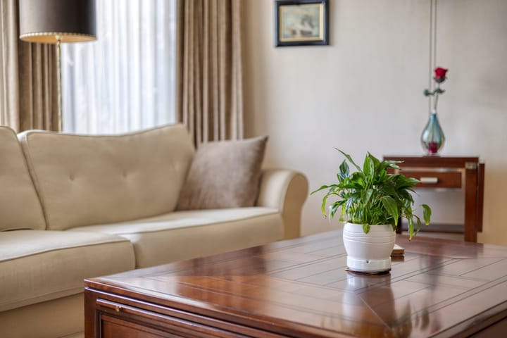 Photo 10 of Twickel 32