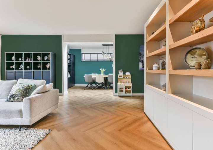 Foto 4 van Henricapolder 3