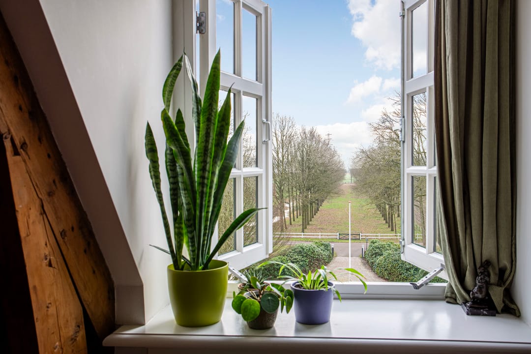 Foto 11 van Damlaan 6-E