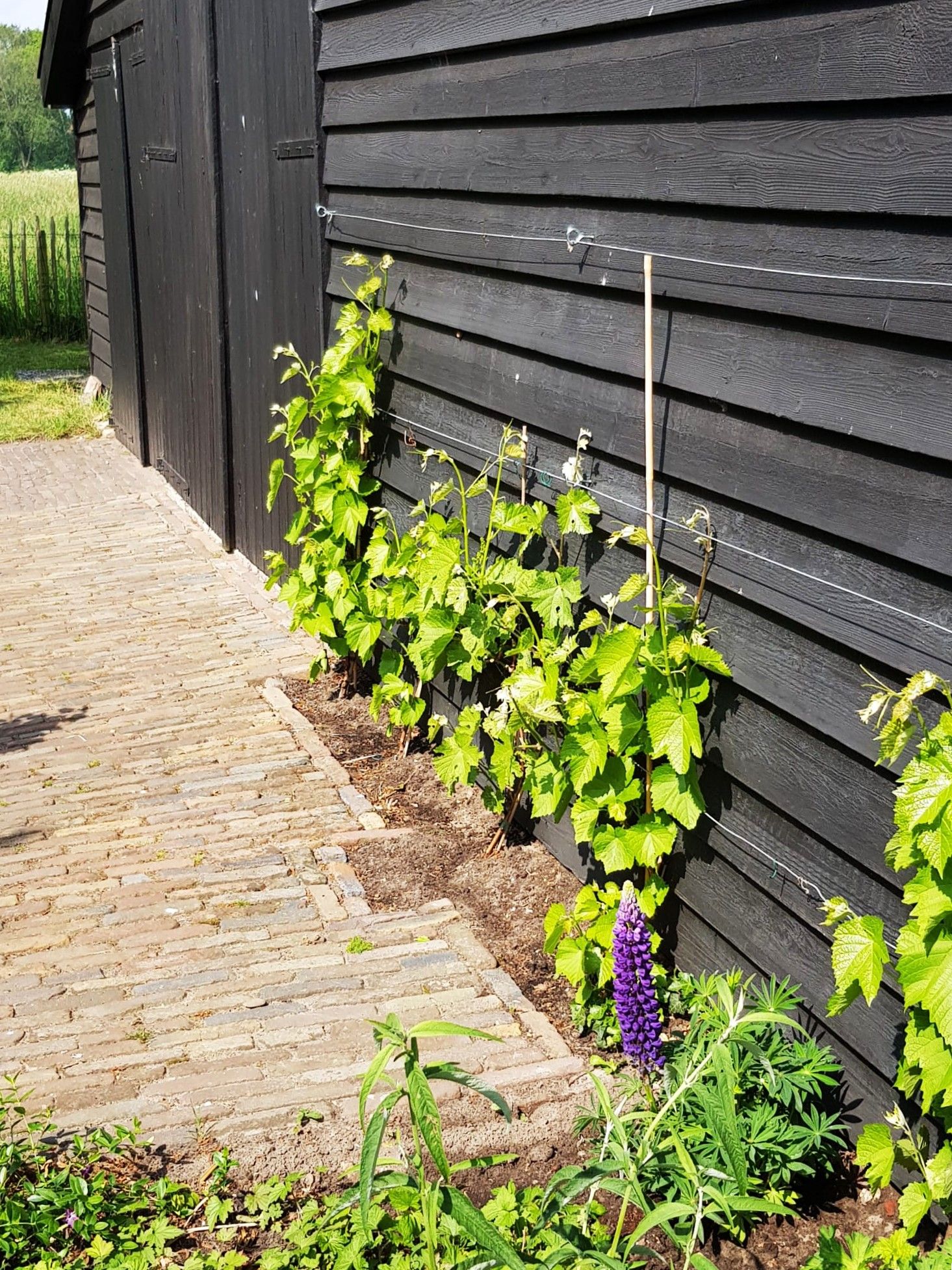 Foto 72 van Uffelterkerkweg 3