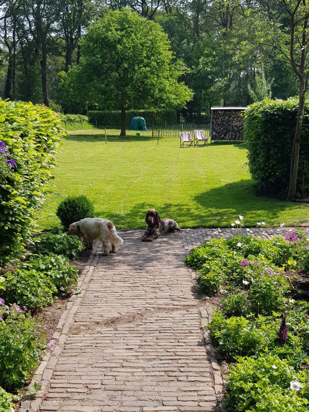 Foto 73 van Uffelterkerkweg 3