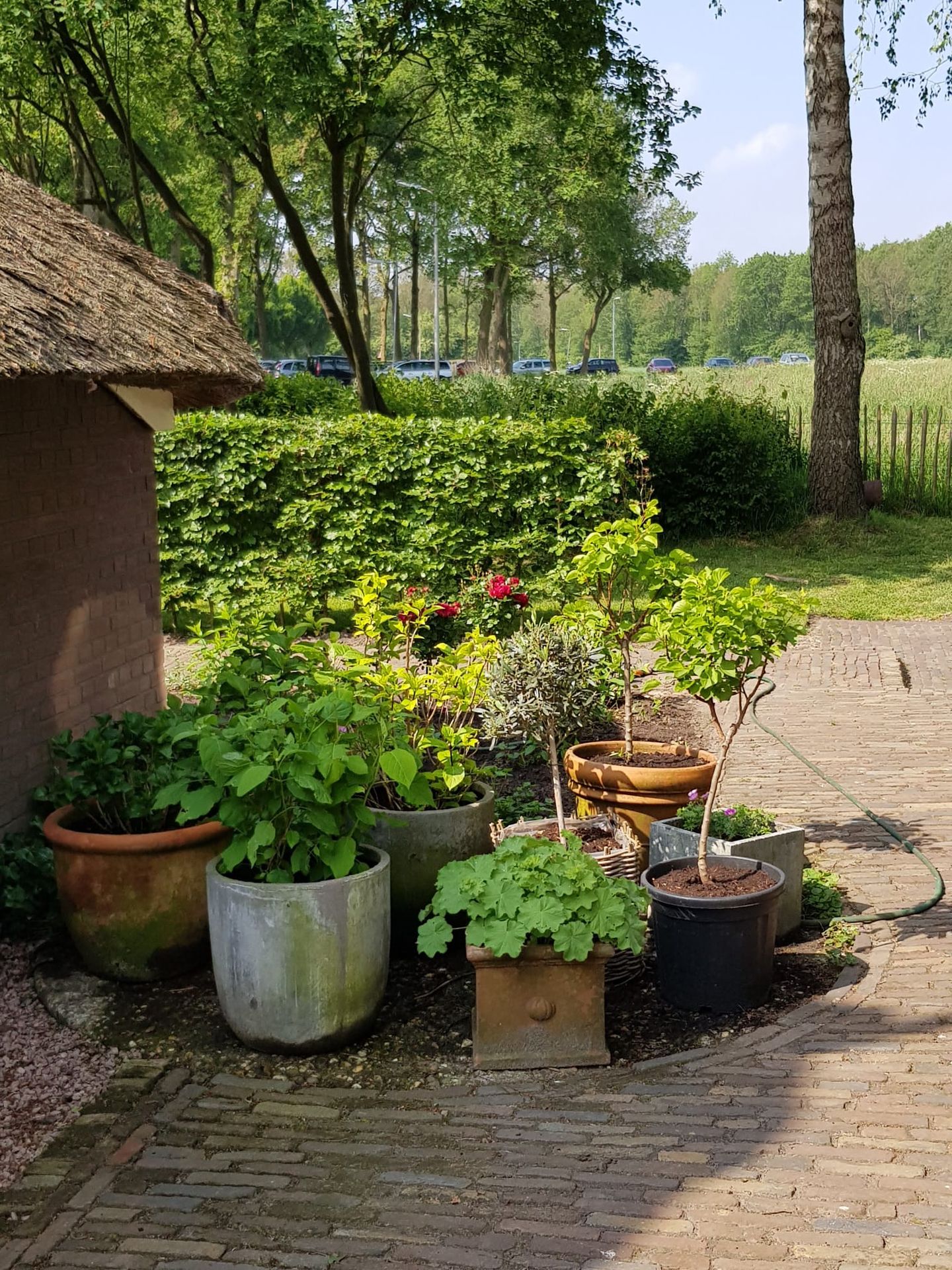 Foto 74 van Uffelterkerkweg 3