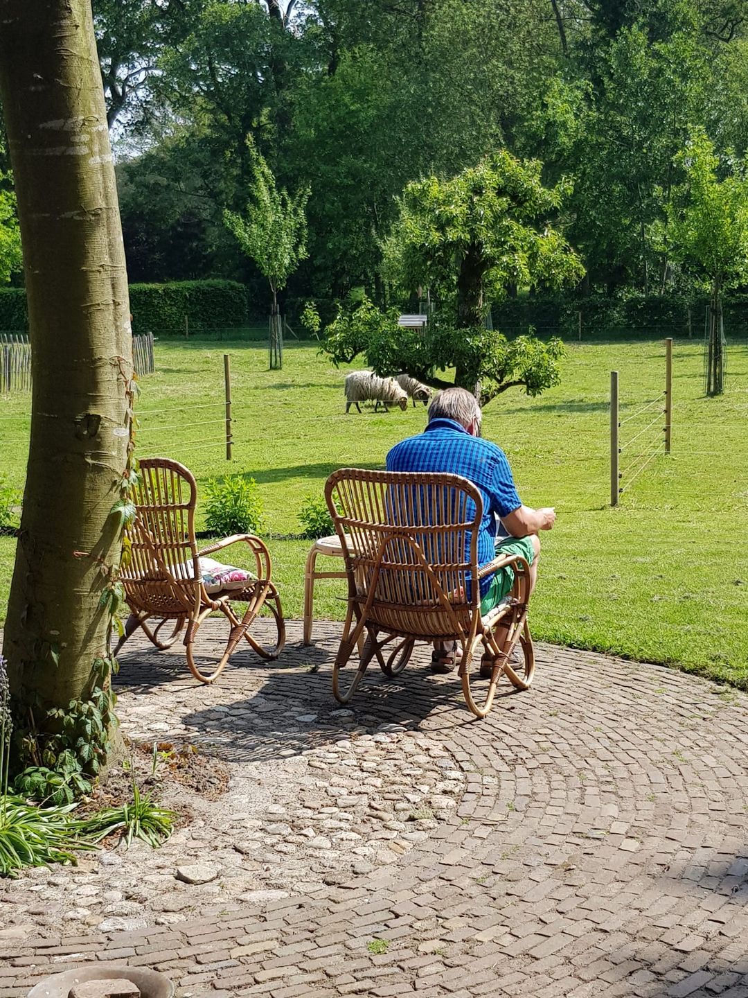 Foto 76 van Uffelterkerkweg 3