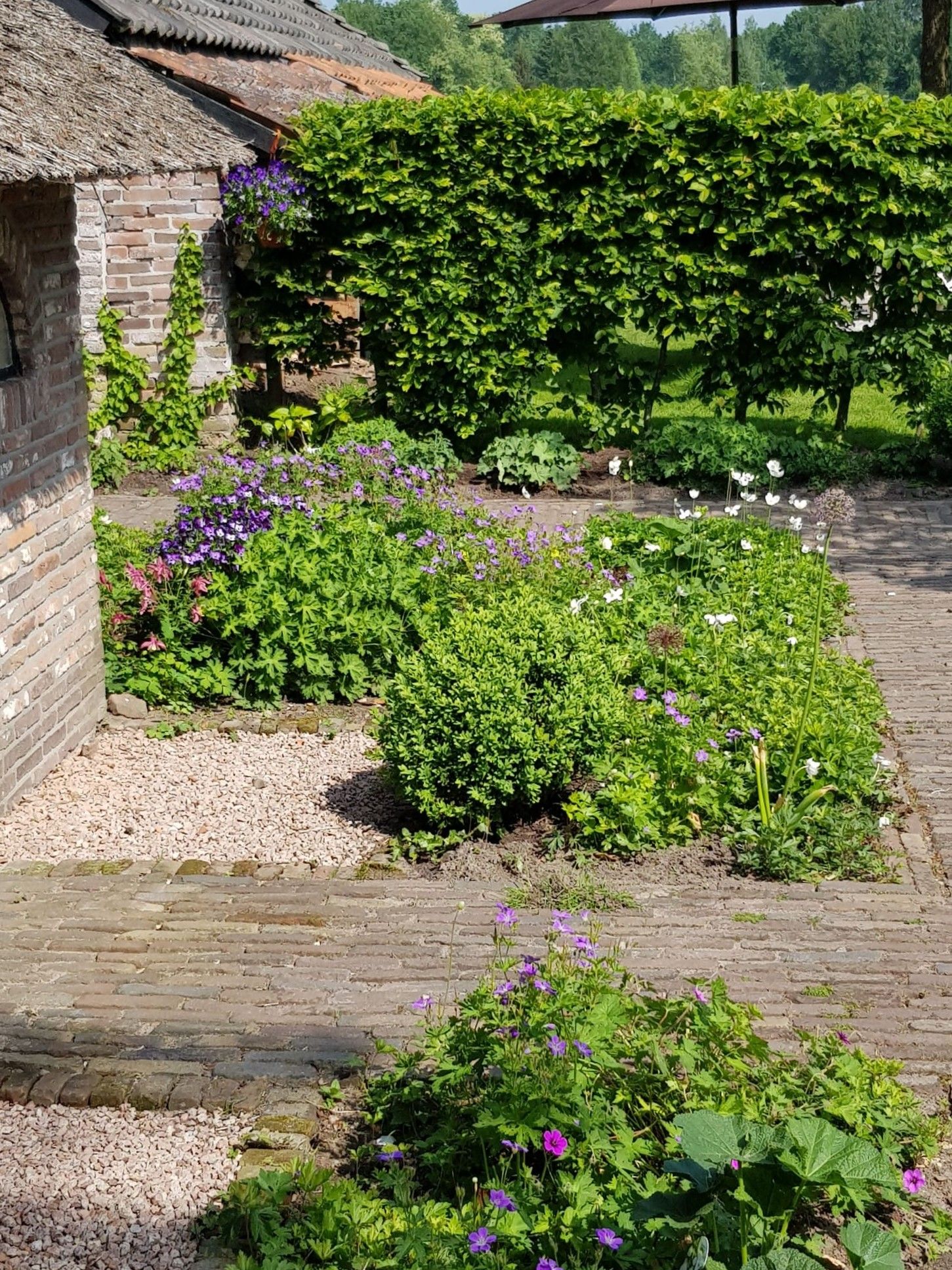 Foto 78 van Uffelterkerkweg 3