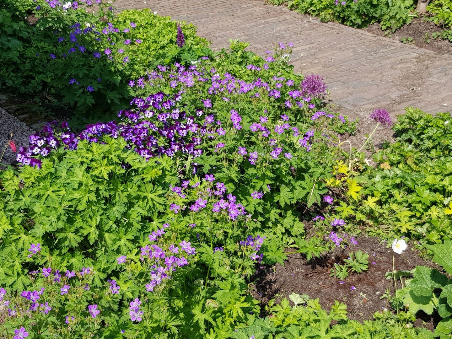 Foto 79 van Uffelterkerkweg 3