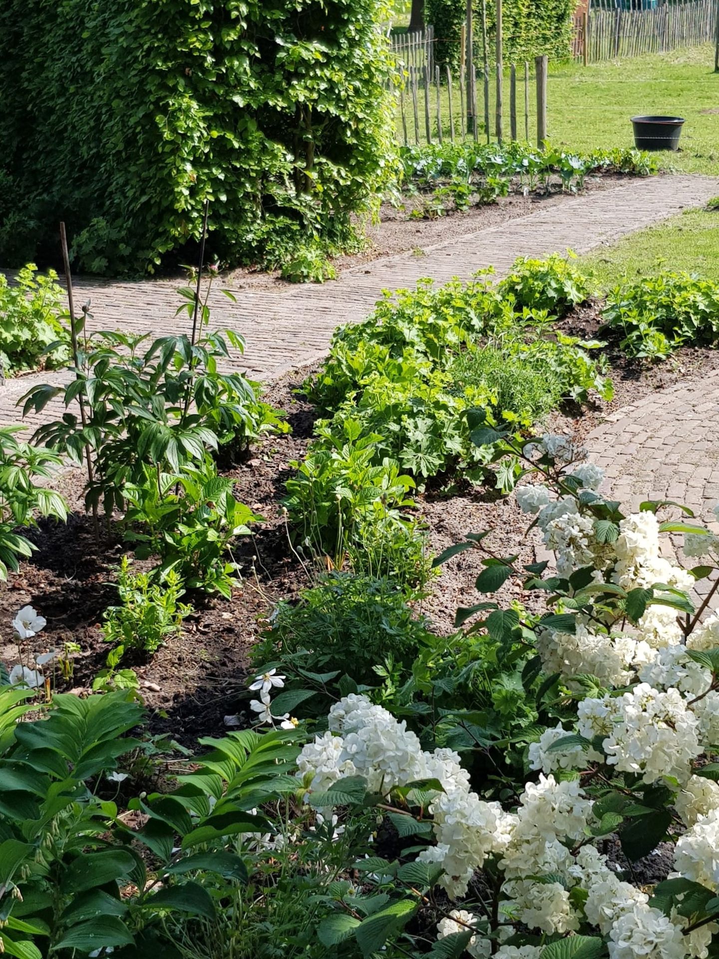 Foto 80 van Uffelterkerkweg 3