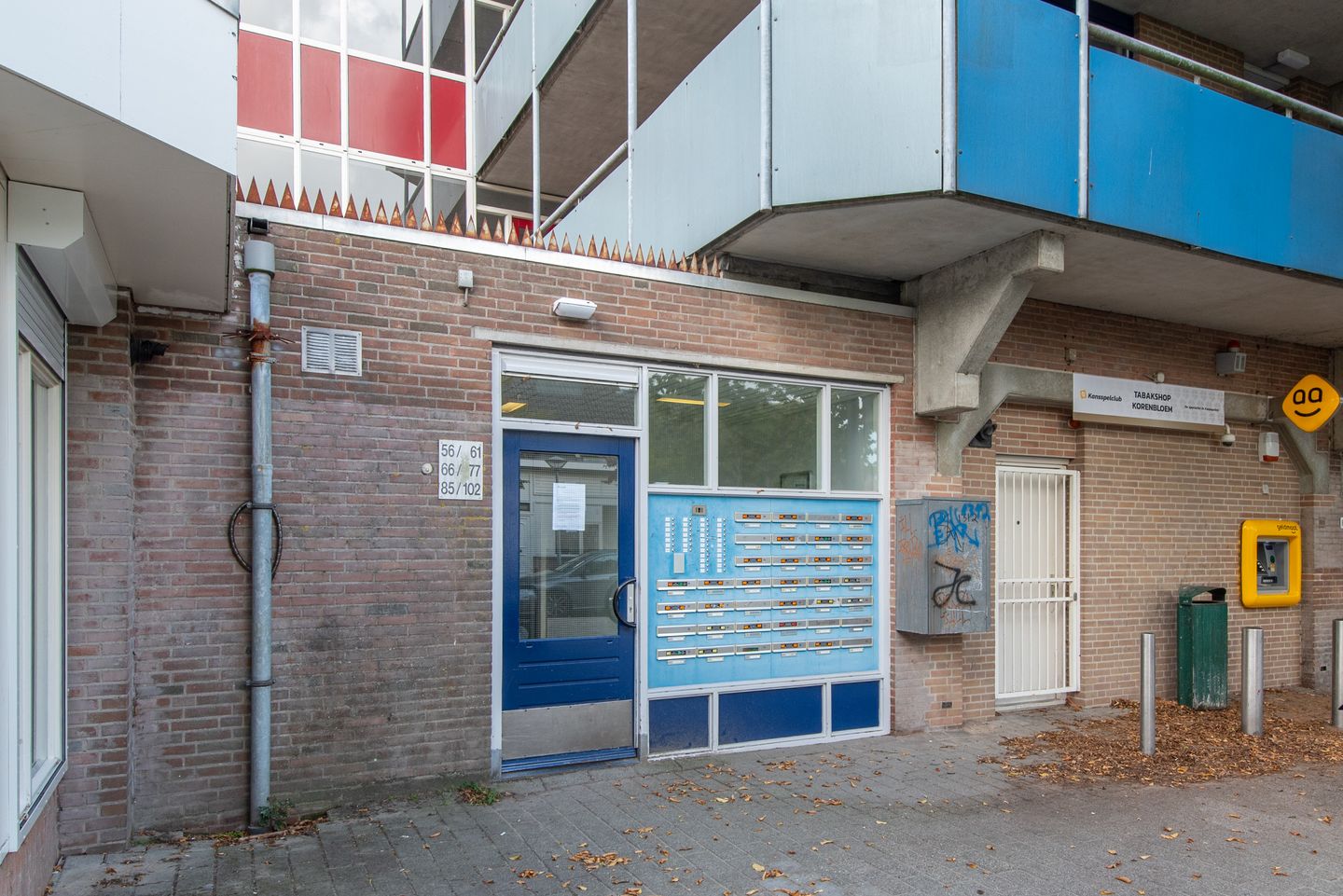 Foto 5 van Korenbloem 101