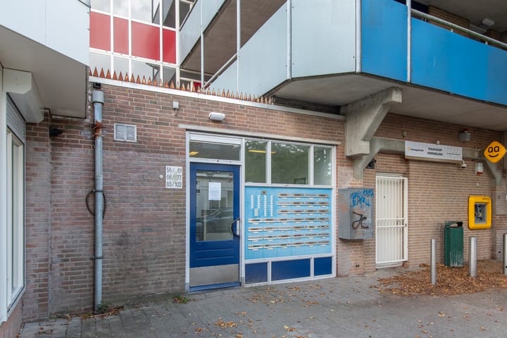 Photo 5 of Korenbloem 101