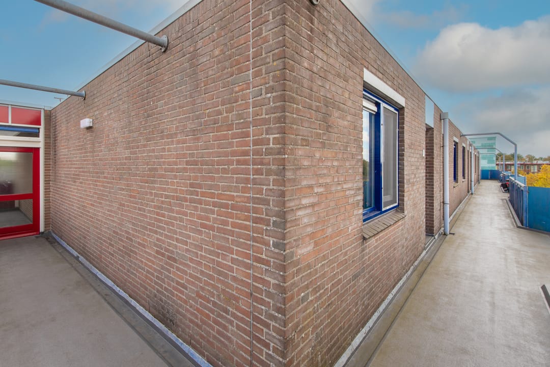 Foto 7 van Korenbloem 101