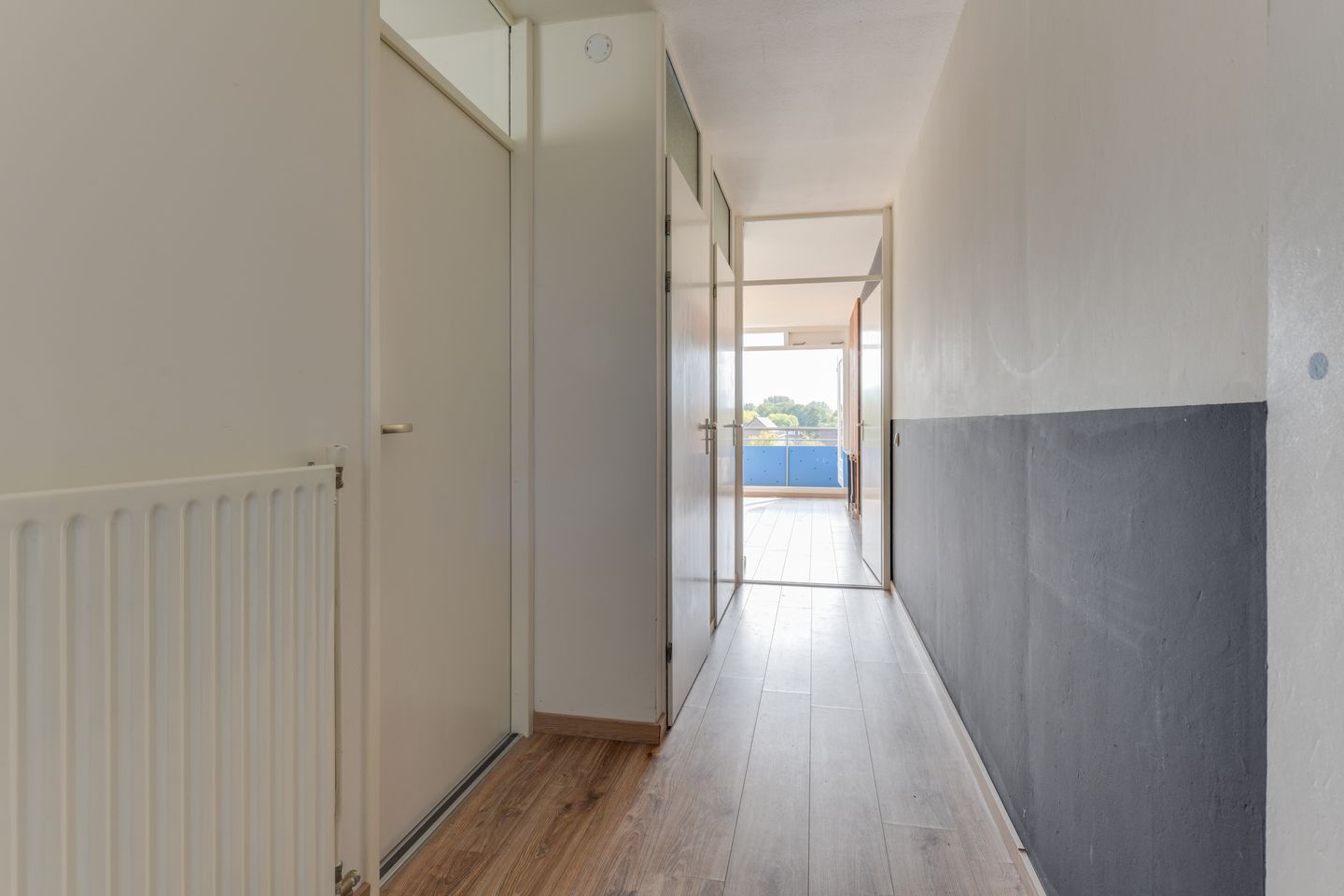 Foto 10 van Korenbloem 101