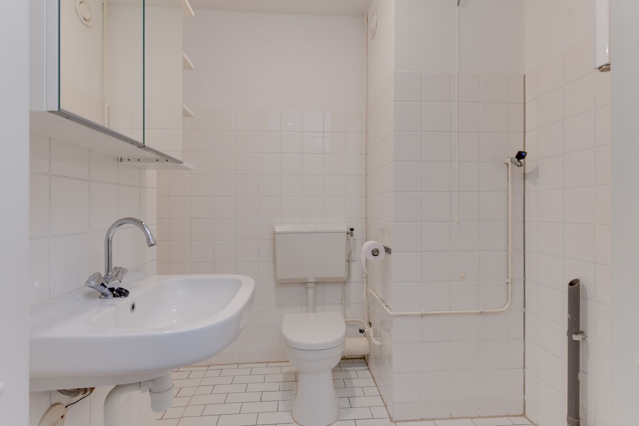 Foto 15 van Korenbloem 101