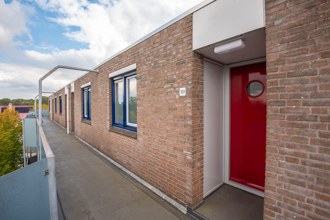 Foto 8 van Korenbloem 101