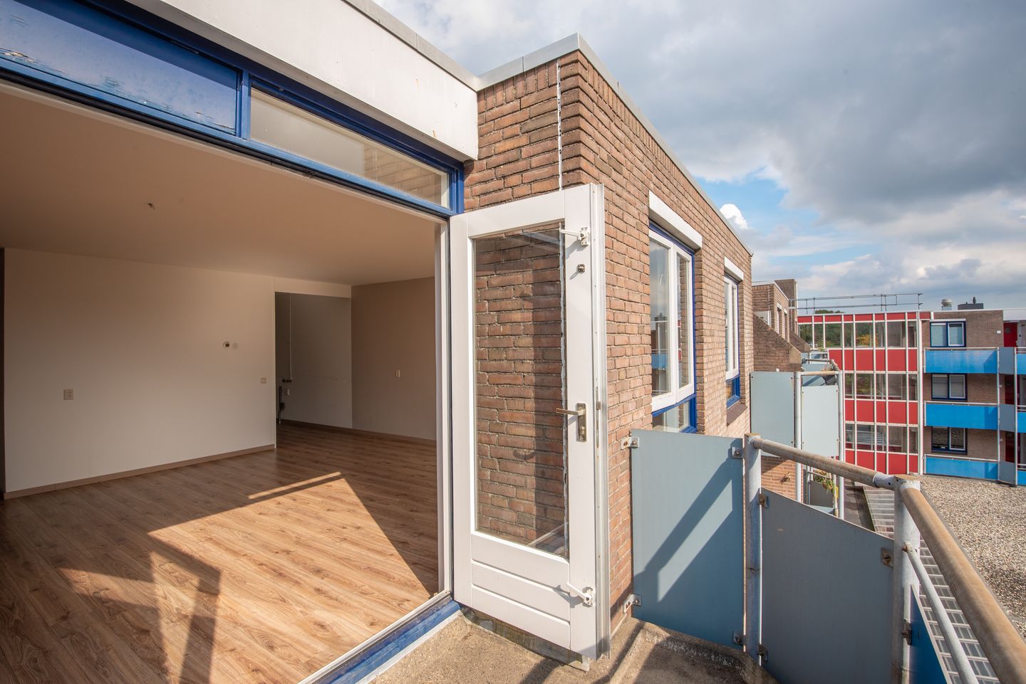 Foto 20 van Korenbloem 101