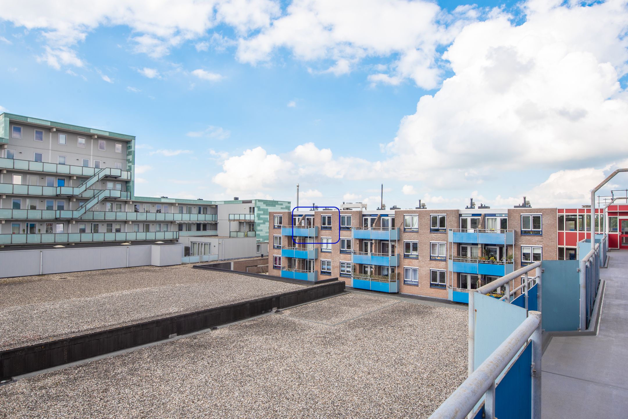 Foto 24 van Korenbloem 101