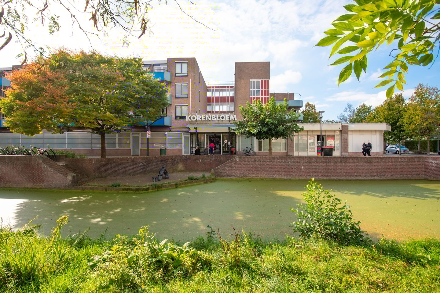 Foto 25 van Korenbloem 101