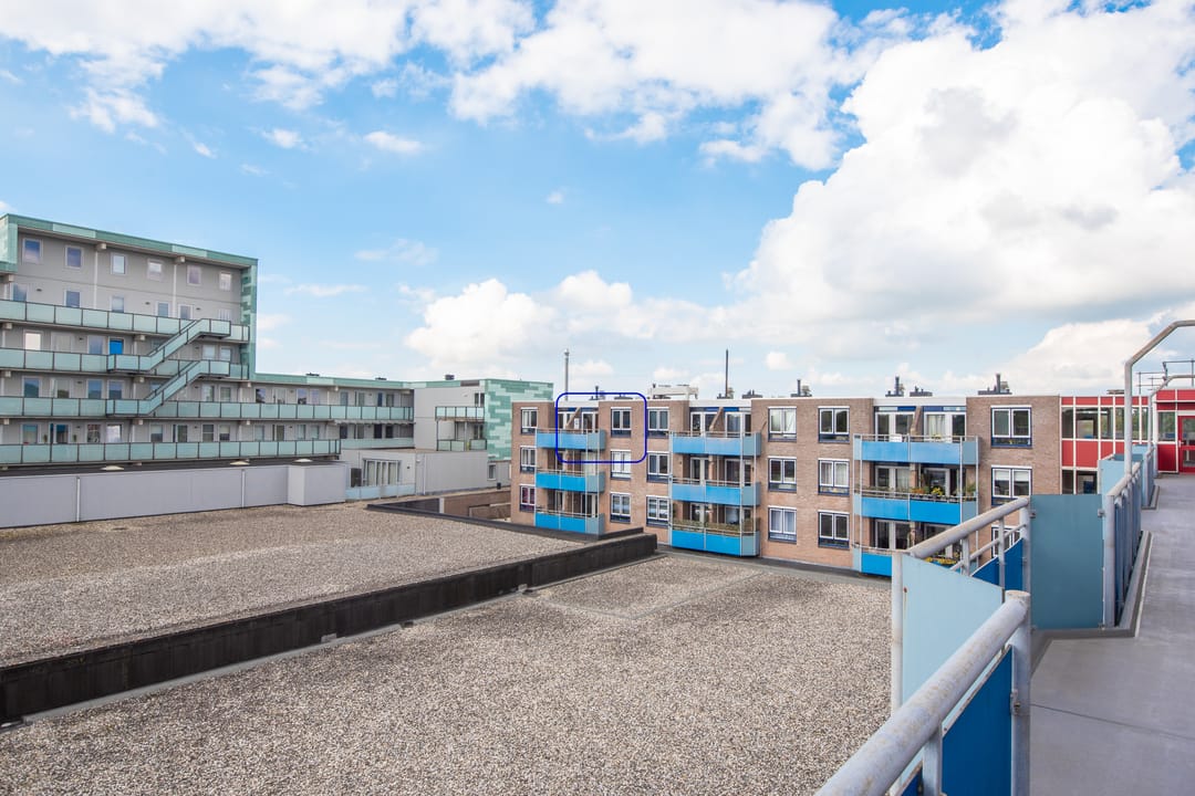 Foto 26 van Korenbloem 101